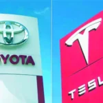 مصر بلدي 7770