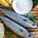 مصر بلادي 1111111