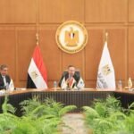 مصر بلدي 3331