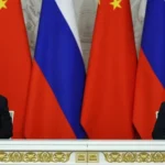 مصر بلدي 7770