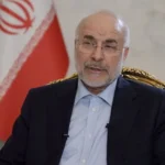 مصر بلدي 7770