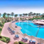 مصر بلدي 7770