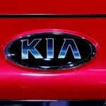 مصر بلدي 7770