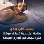 IMG_٢٠٢٦٠٥١٧_١٨٥٨١٠