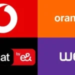 مصر بلدي 7770